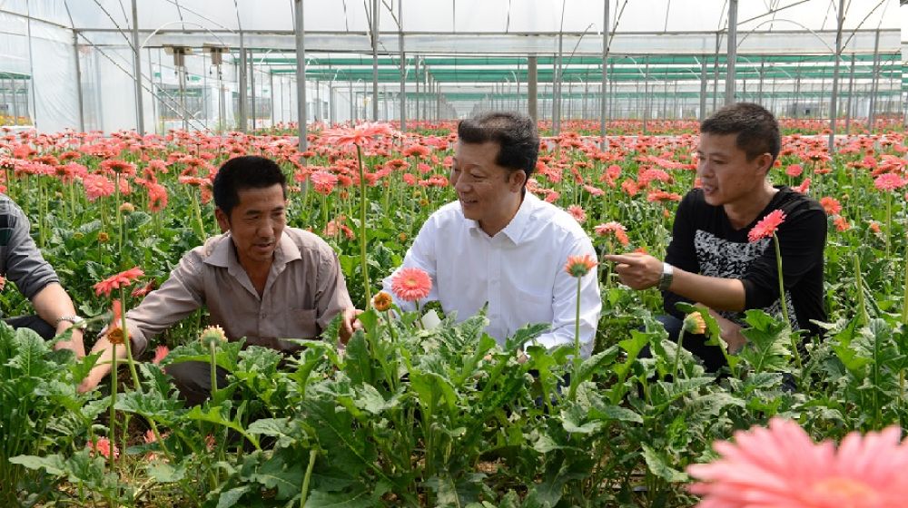 廖俊波（中）在福建省政和县铁山镇东涧村向花农了解花卉生产情况（2014年4月18日摄）。新华社发（徐庭盛 摄）